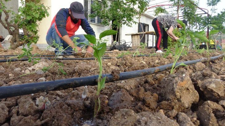 Gercüşlü çiftçiler korona virüse rağmen üretime devam ediyor G5