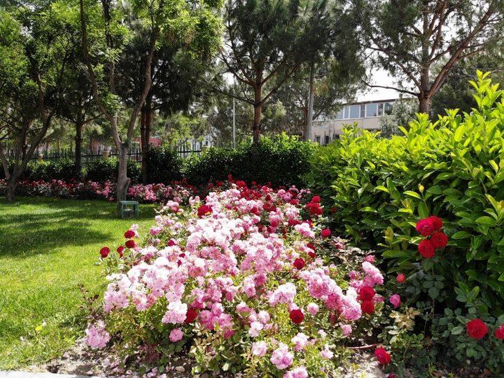 Atatürk Kent Parkı vatandaşları çiçeklerle karşılayacak G4