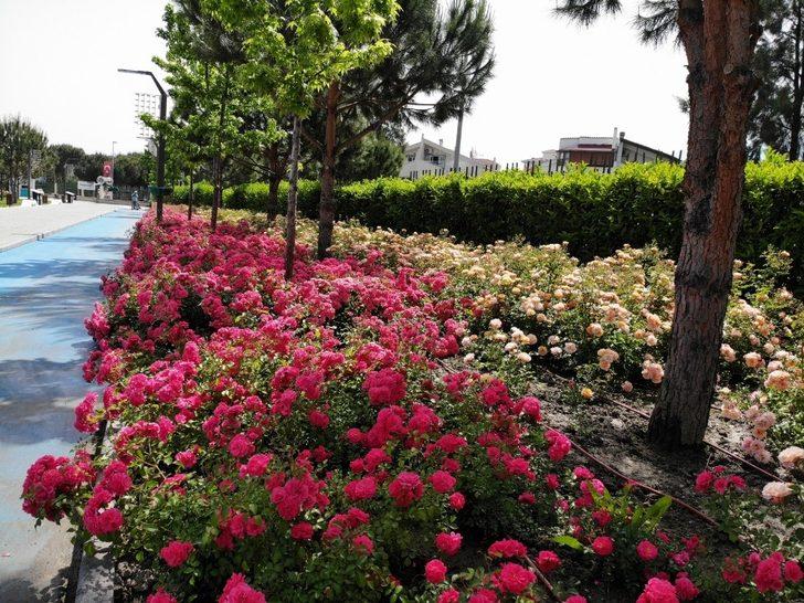 Atatürk Kent Parkı vatandaşları çiçeklerle karşılayacak G5