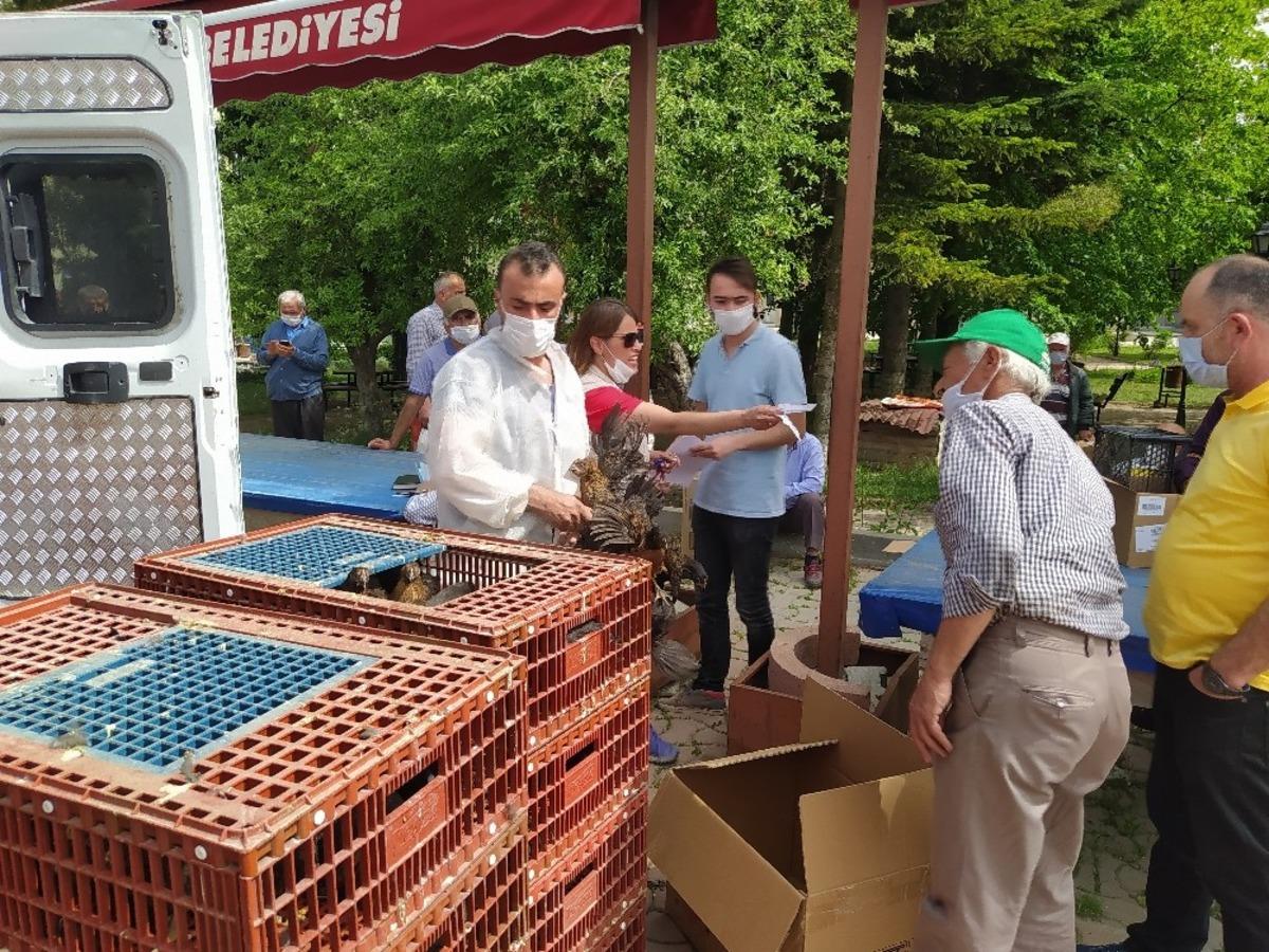 Daday Ziraat Odası, &ccedil;ift&ccedil;ilere tavuk, hindi ve civciv dağıttı