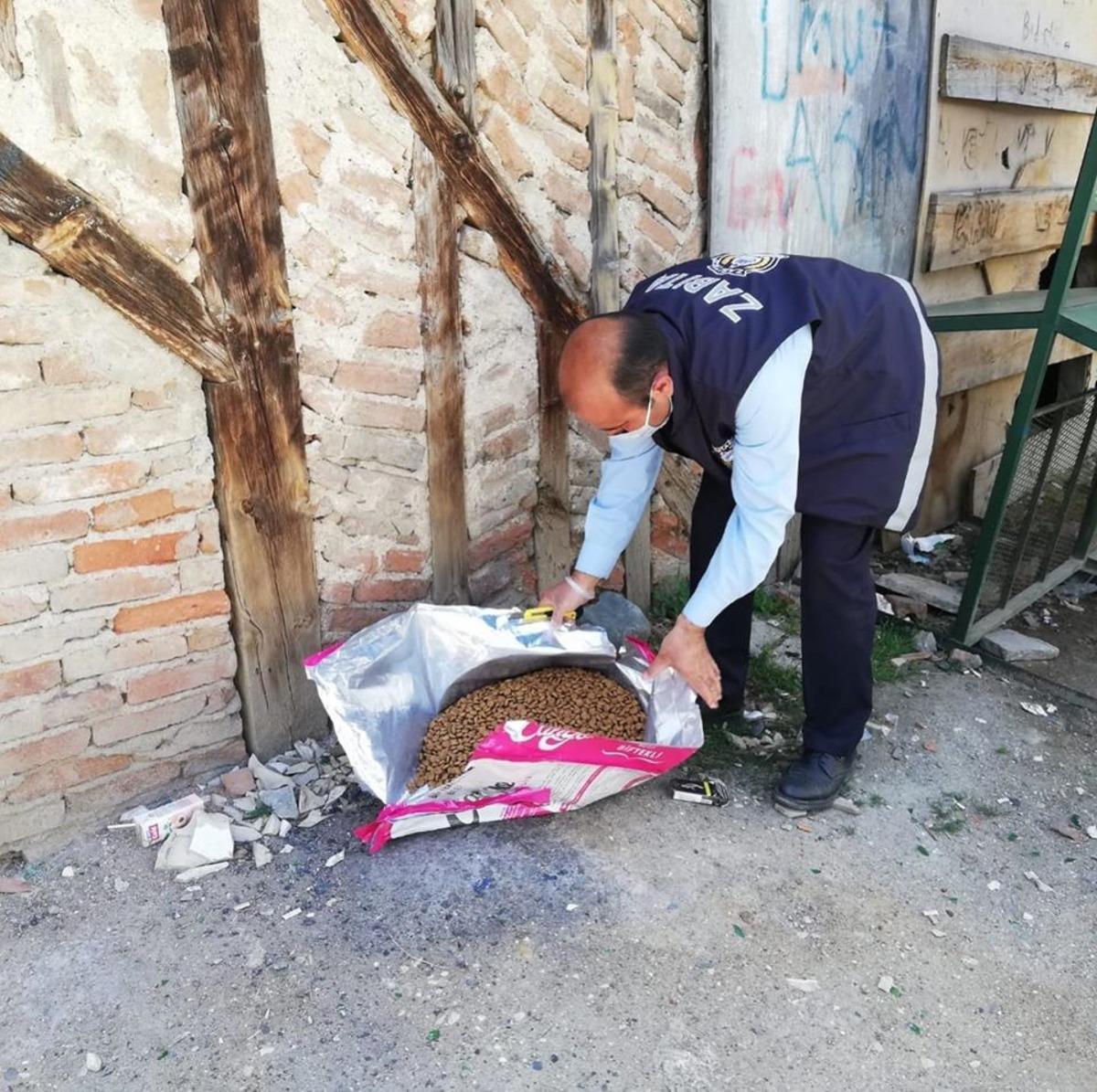 Taşk&ouml;pr&uuml; Belediyesi, sokak hayvanlarını besledi