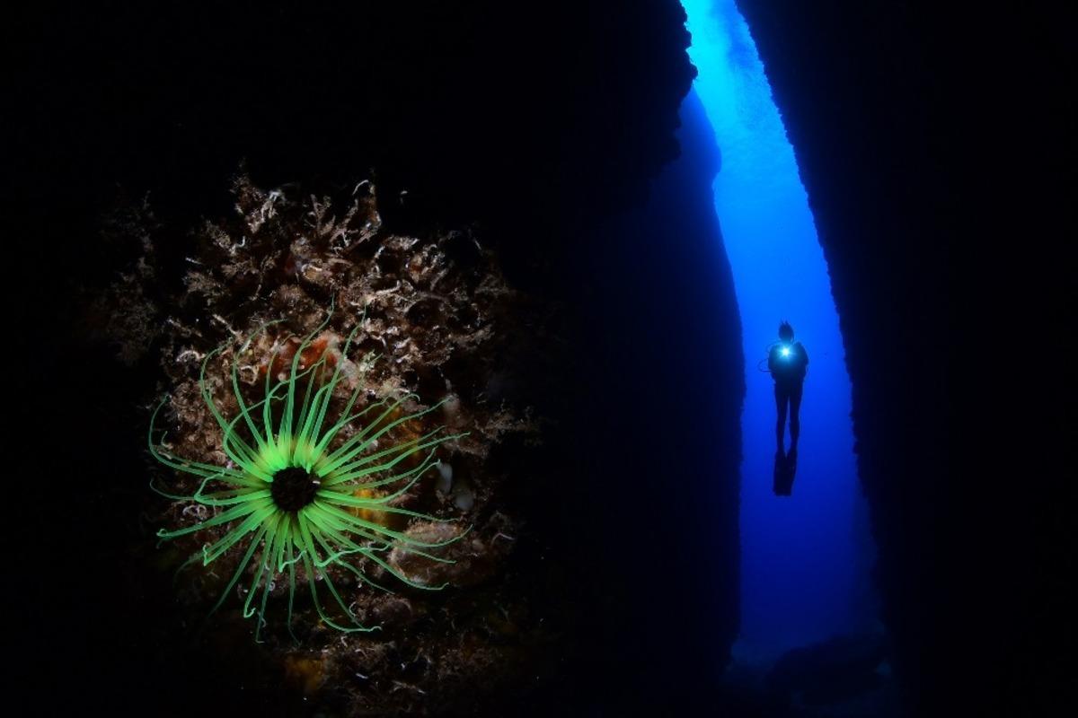 Uluslararası Kemer Sualtı G&uuml;nleri tamamlandı