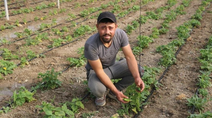 ORK&Ouml;Y projesi kapsamında seracılık &uuml;retime devam