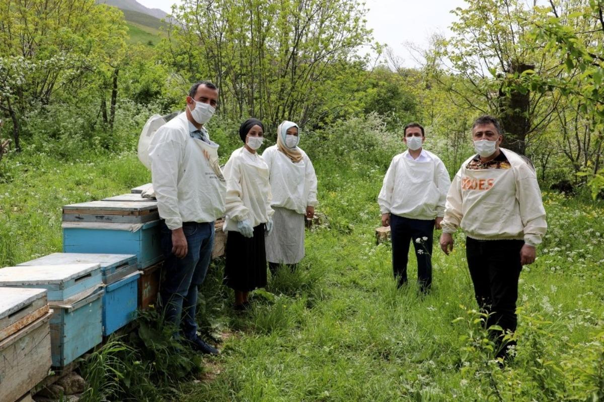 20 Mayıs D&uuml;nya Arı G&uuml;n&uuml;