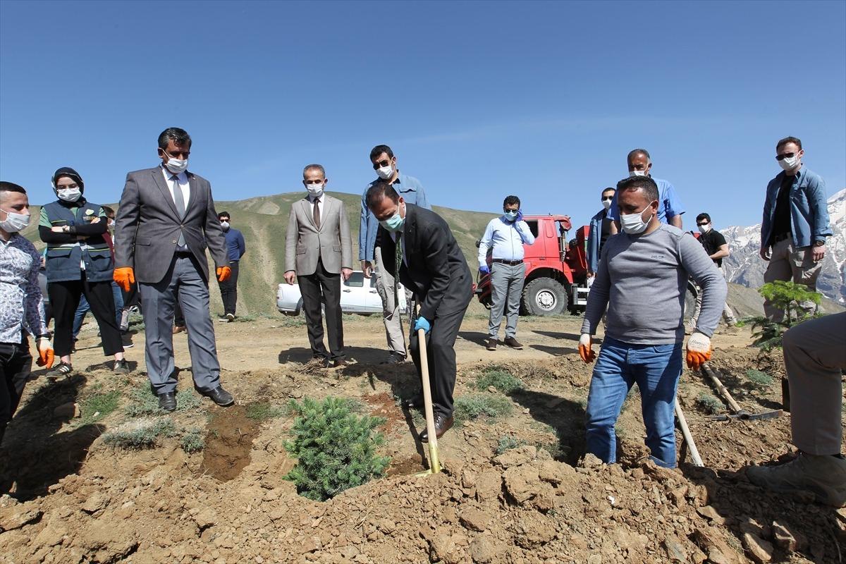 Hakkari'de sağlık &ccedil;alışanları i&ccedil;in 2 bin 365 fidan dikildi