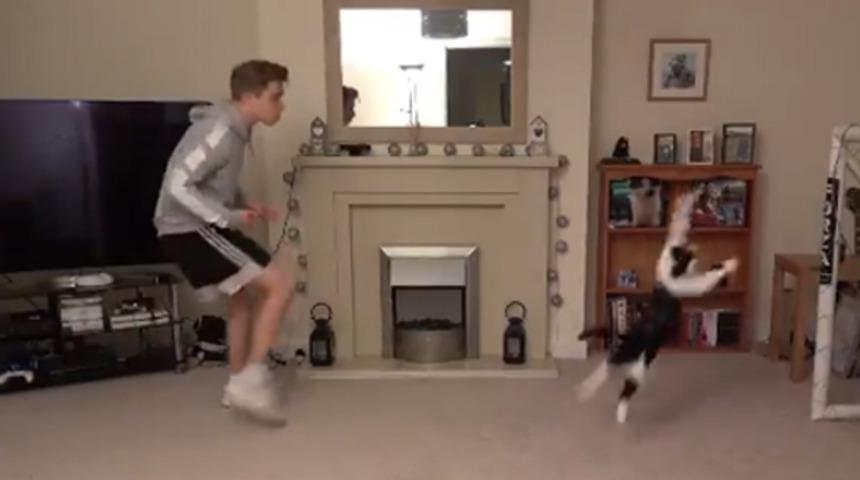 Tüm dünya kedi kaleciyi konuşuyor