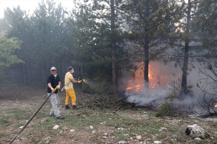 GÜNCELLEME - Kütahya'da orman yangını kısmen kontrol altına alındı G1