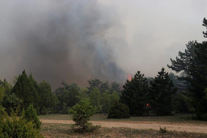 GÜNCELLEME - Kütahya'da orman yangını kısmen kontrol altına alındı G4