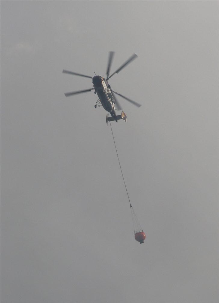 GÜNCELLEME - Kütahya'da orman yangını kısmen kontrol altına alındı G5