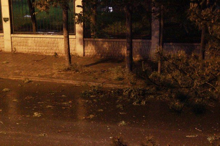 Eskişehir’de şiddetli rüzgar ağaç dallarını kırdı G2