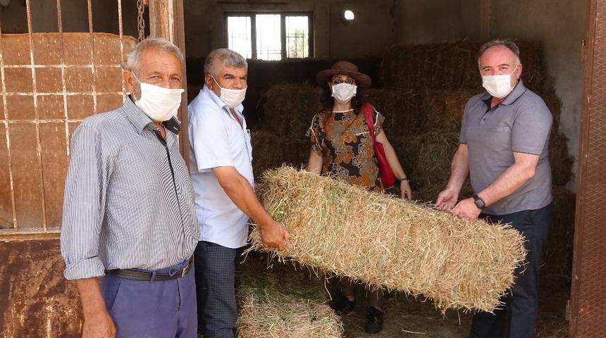 Germencik Belediyesi&rsquo;nden &uuml;reticilere yonca desteği