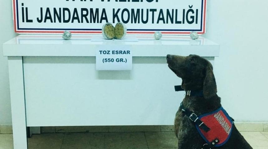 Erciş&rsquo;te 600 gram toz esrar ele ge&ccedil;irildi
