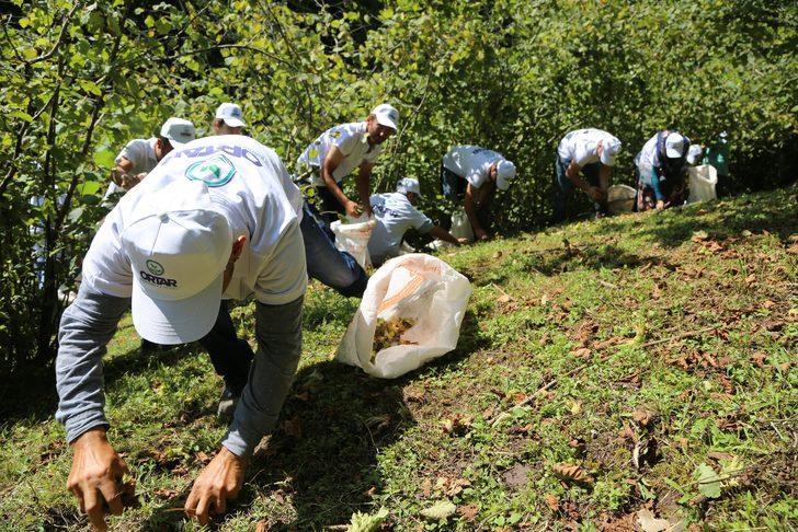 Çaydan sonra fındık için de işçi endişesi başladı G1