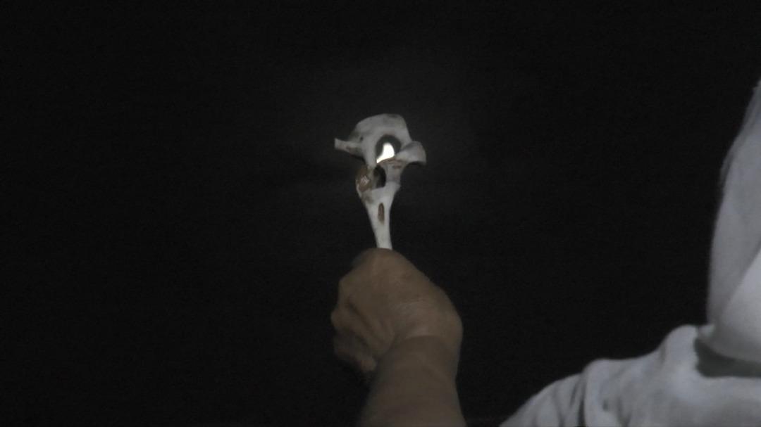 Her yıl aynı g&uuml;n bunu yapıyorlar! 156 yıllık acı...