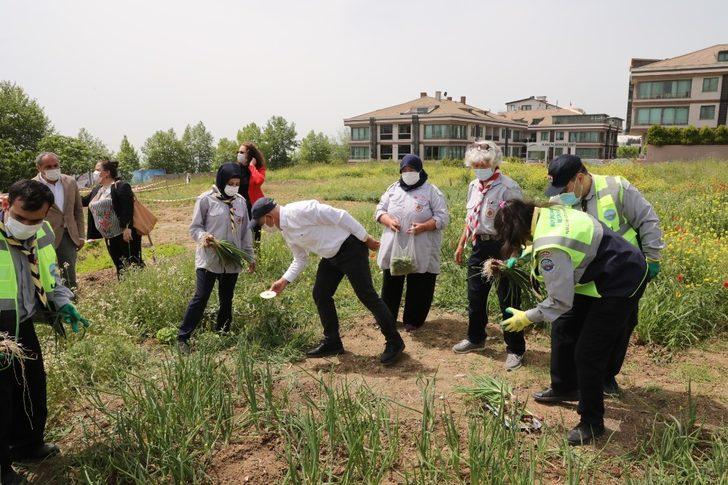 Engel tanımayan izciler meyve ve sebze yetiştirmeye başladı G2