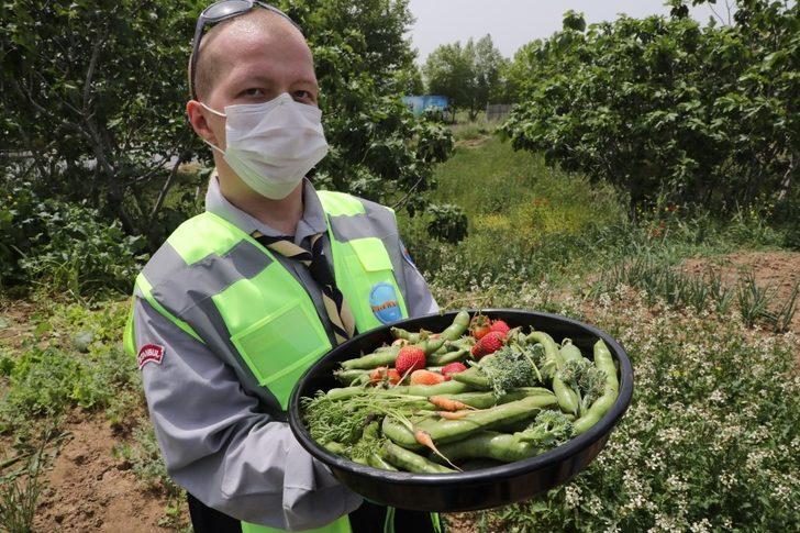 Engel tanımayan izciler meyve ve sebze yetiştirmeye başladı G4