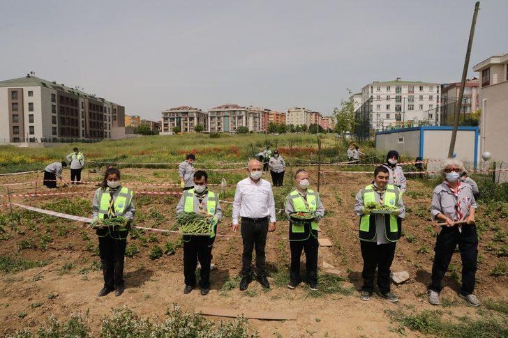 Engel tanımayan izciler meyve ve sebze yetiştirmeye başladı G5