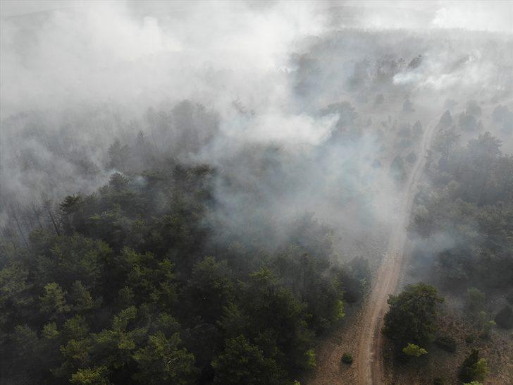 Kütahya'daki orman yangını tamamen kontrol altına alındı G3