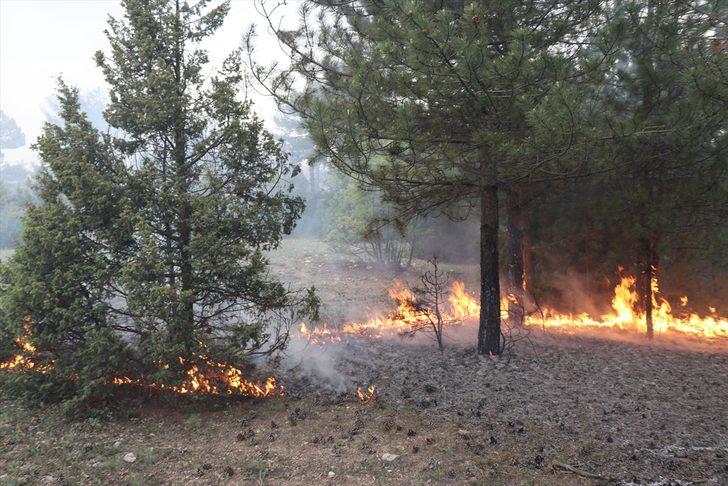 Kütahya'daki orman yangını tamamen kontrol altına alındı G4