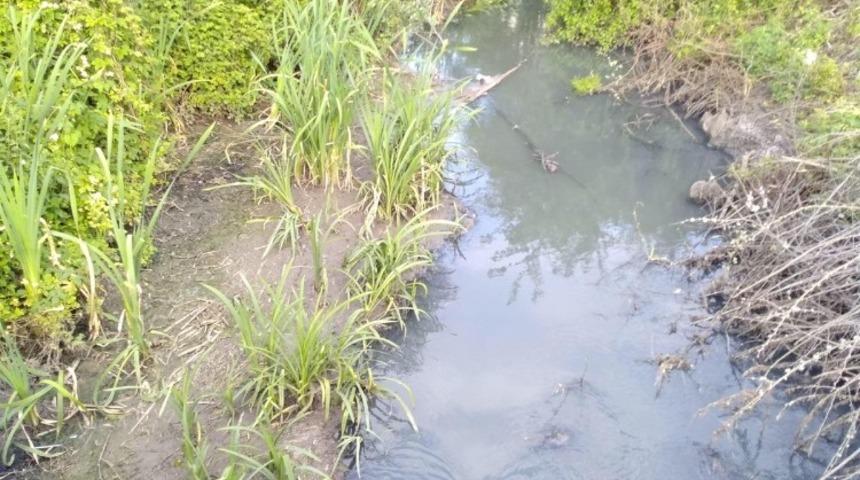 Deredeki koku sebebiyle camlarını a&ccedil;amaz hale geldiler