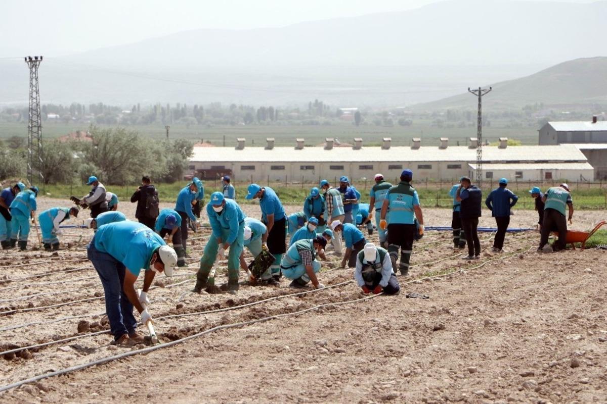 Başkan &Ccedil;olakbayrakdar: "Kayseri&rsquo;ye has yerli tohumlarla yetiştirdiğimiz &uuml;r&uuml;nler teknolojiyle buluşarak iyi bir noktaya gelecek"