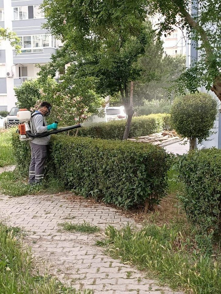 Büyükşehir, 190 bin noktada ilaçlamayı sürdürüyor G4