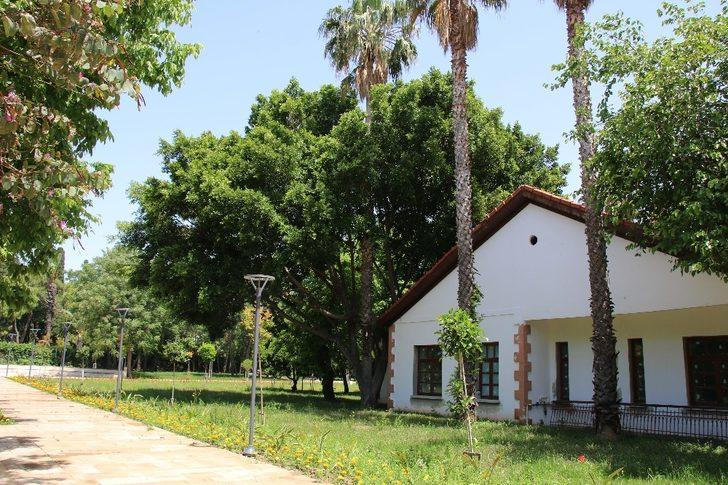 Kent Müzesi Kompleksi’nde sona yaklaşıldı G4