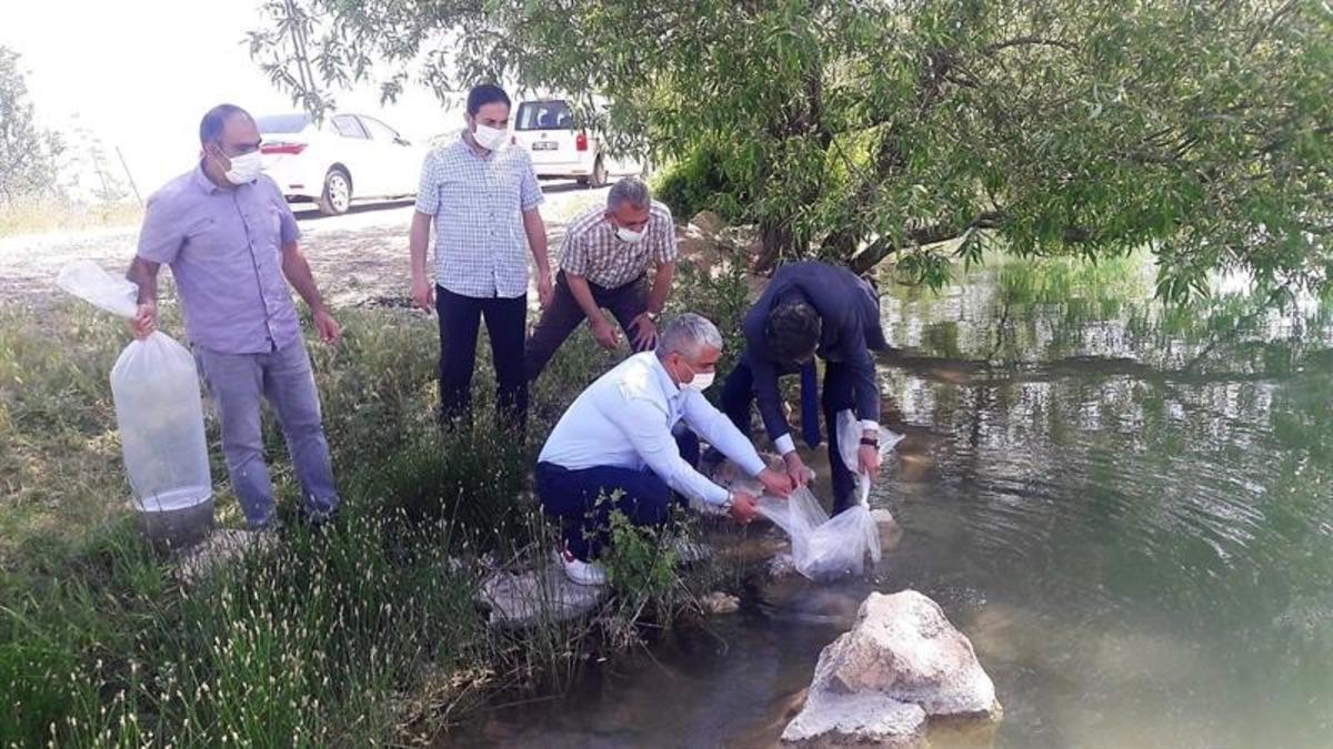 Malatya&rsquo;da g&ouml;letlere 50 bin balık bırakıldı