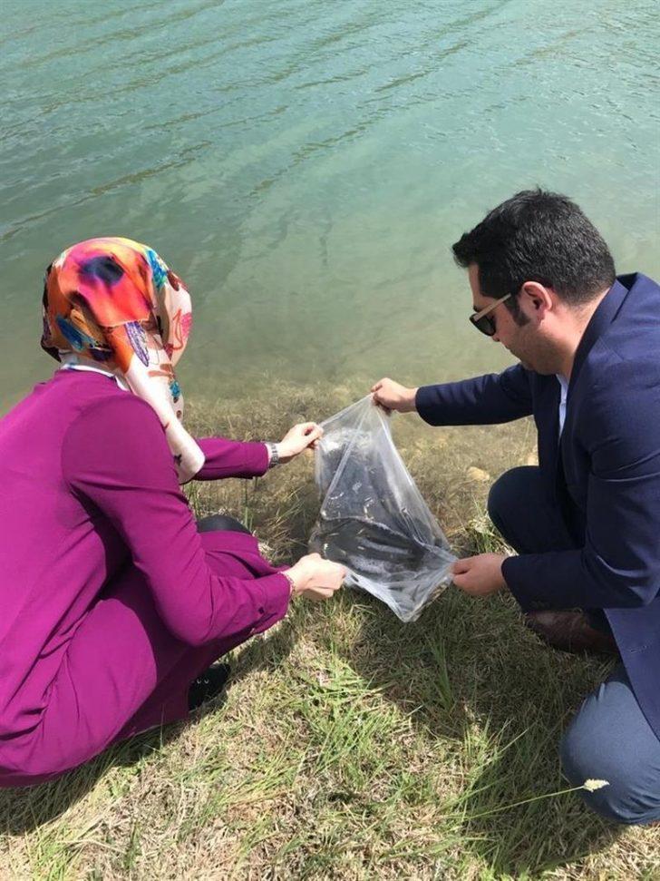 Malatya’da göletlere 50 bin balık bırakıldı G2