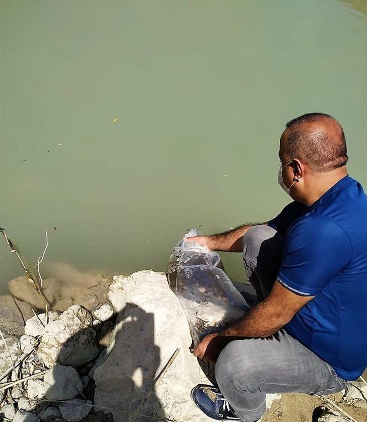 Malatya’da göletlere 50 bin balık bırakıldı G3