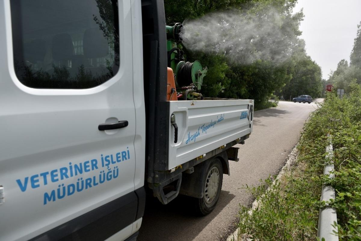 Sineklere karşı ila&ccedil;lama s&uuml;r&uuml;yor