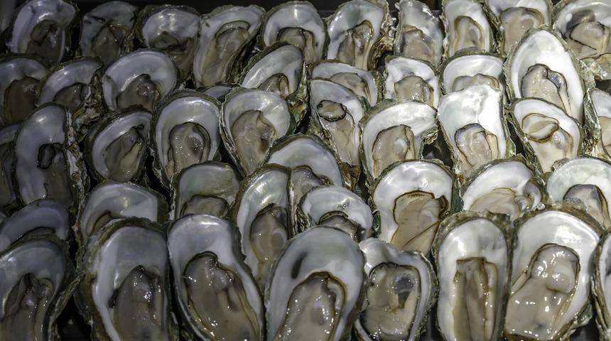 Koronavirüse karşı bağışıklık için çinko