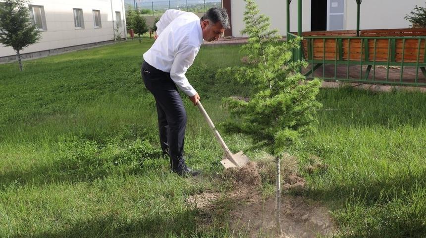 Karantina yurduna fidanlar dikildi