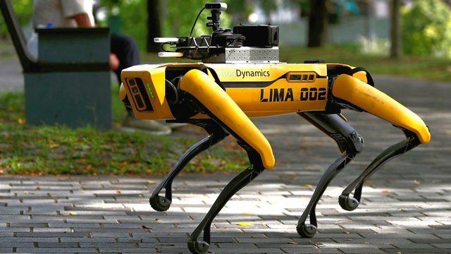 Singapur'da robot köpekler, parklarda devriye geziyor ve halkı sosyal mesafe kurallarına uymaları konusunda uyarıyor.