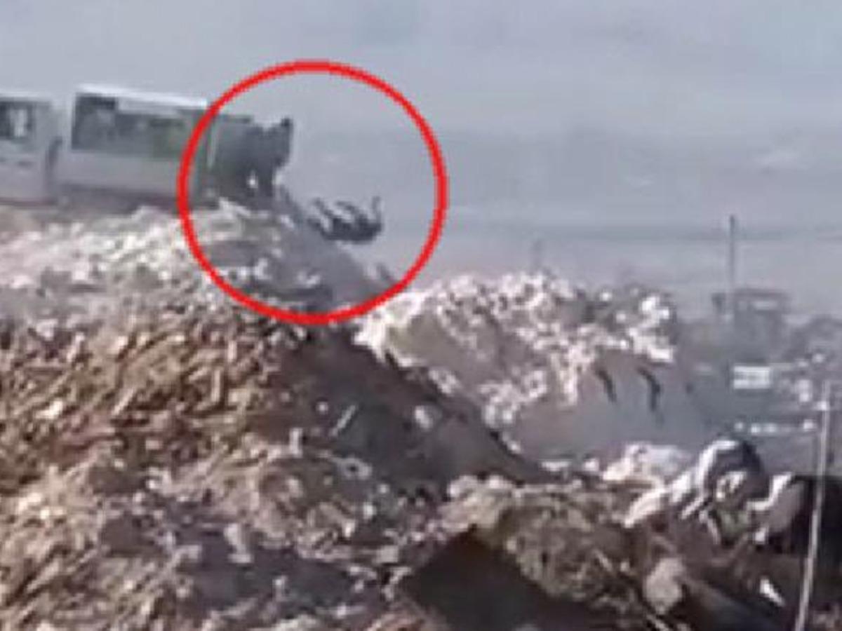 Denizli'de tepki &ccedil;eken g&ouml;r&uuml;nt&uuml;: &Ouml;l&uuml; k&ouml;pekleri &ccedil;&ouml;pe attılar