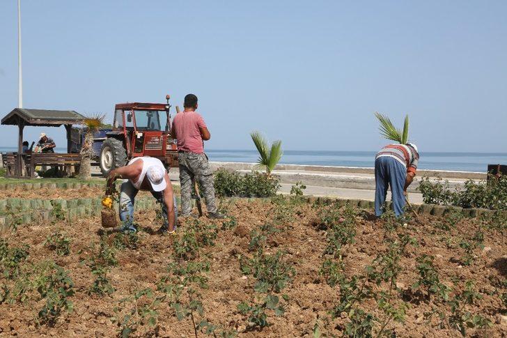 Erdemli’de park ve bahçeler düzenleniyor G3