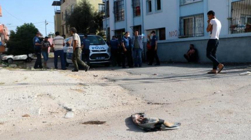 Sokak ortasında dehşet! Kuzenine kurşun yağdırdı