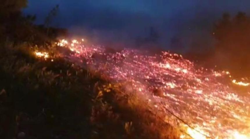 Bursa'nın İnegöl ilçesinde orman yangını