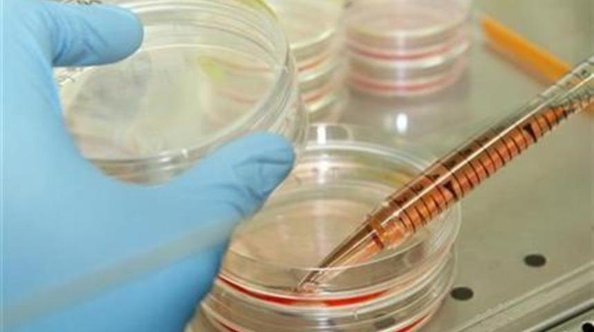 Dünyada bir ilk! Yeni doğan bebeğe karaciğer tedavisi için kök hücre!