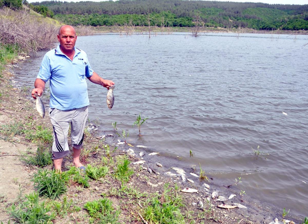 Y&uuml;zlerce balık &ouml;lm&uuml;şt&uuml;... Nedeni ortaya &ccedil;ıktı