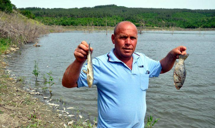 Yüzlerce balık ölmüştü... Nedeni ortaya çıktı G4