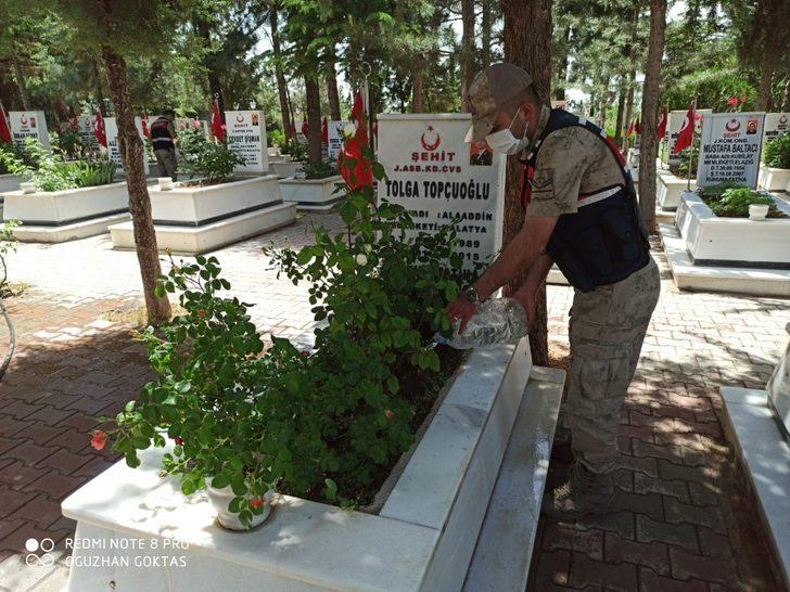 Şehit mezarlarına jandarma eli değdi G2