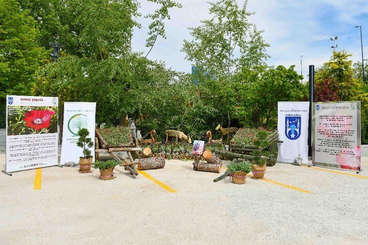 Endemik “Sevgi Çiçeği” koruma altına alındı G4