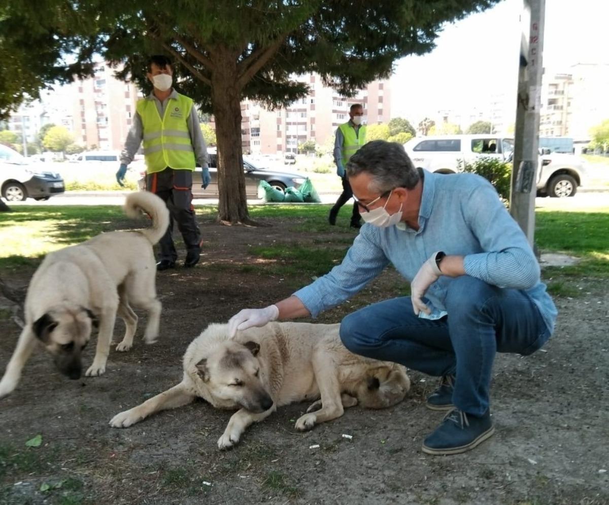 Salgında sokak hayvanlarına 2 bin 100 kilo mama desteği