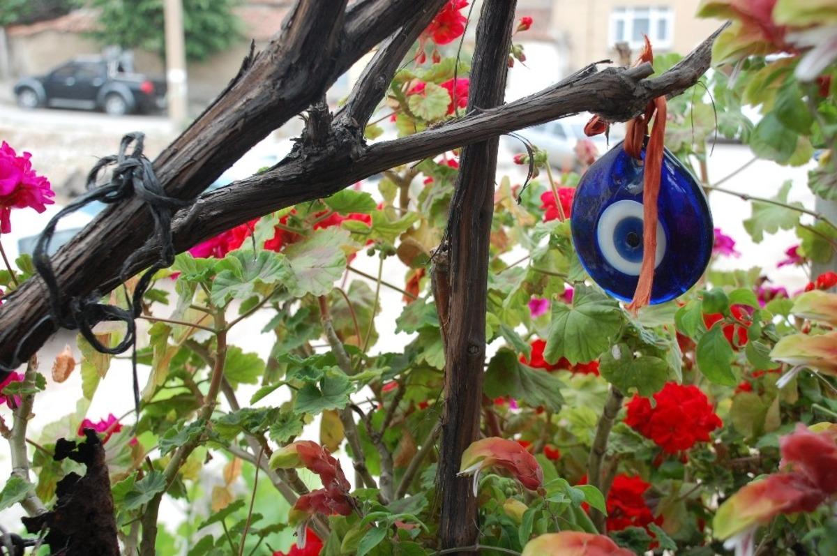 Ev ve bah&ccedil;esinde &ccedil;i&ccedil;ek ve sebze yetiştiren kadın: