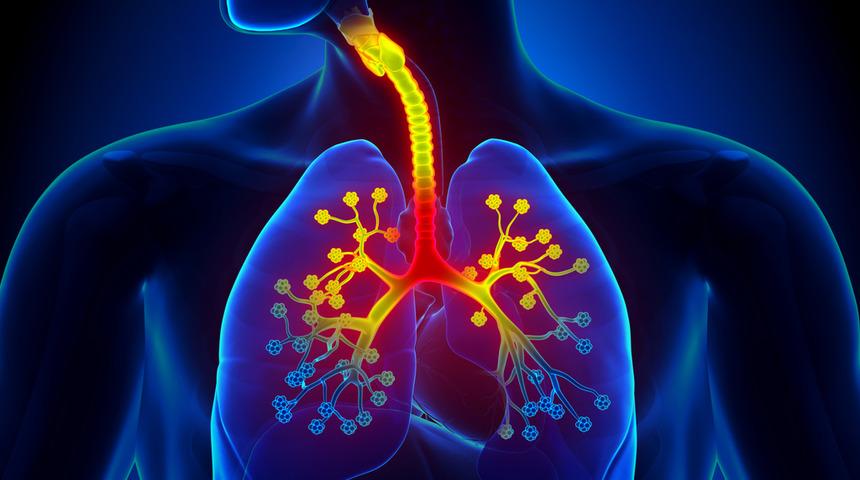 Detaylı Bronşit Rehberi: Nedir? Belirtileri Neler? Nasıl Geçer?