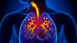 Detaylı Bronşit Rehberi: Nedir? Belirtileri Neler? Nasıl Geçer?