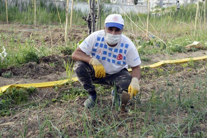 Antrenörler virüs günlerini bahçede değerlendirdiler G2