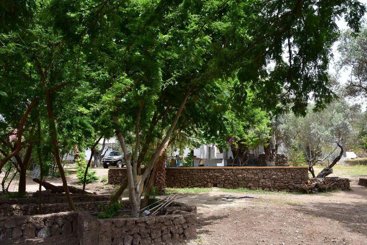 Bodrum'da 3 bin yıllık antik kentteki kaçak inşaata suç duyurusu G5