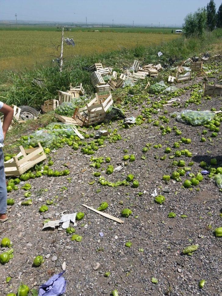Sebze yüklü kamyonet yoldan çıkıp takla attı. 2 yaralı G3